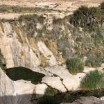 עין עקב מבט על