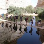 התיכון לחינוך סביבתי